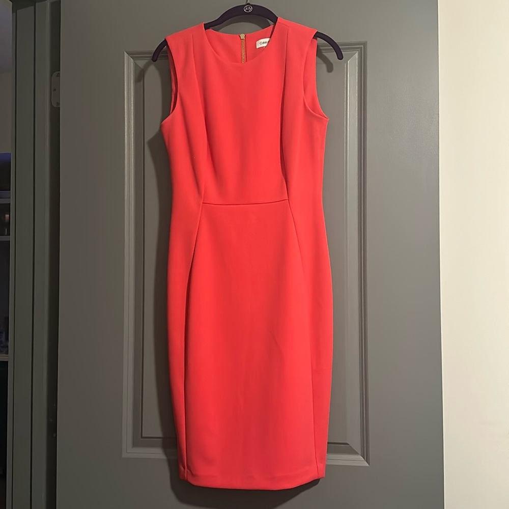 Calvin Klein Dress